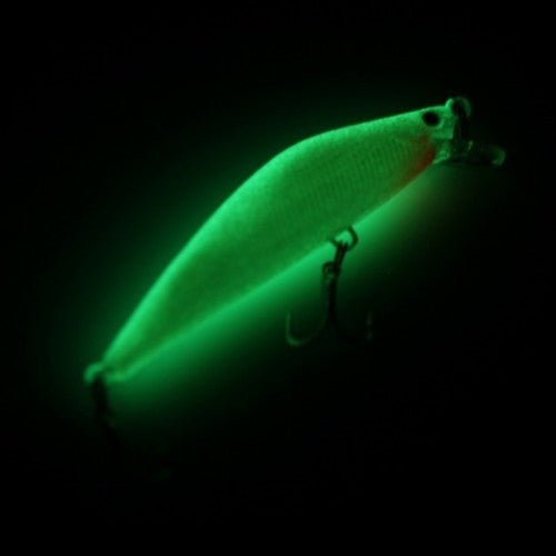 Luminous Night Fishing Minnow Lure